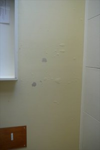 Water damaged wall